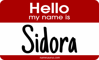 Hello my name is Sidora png download