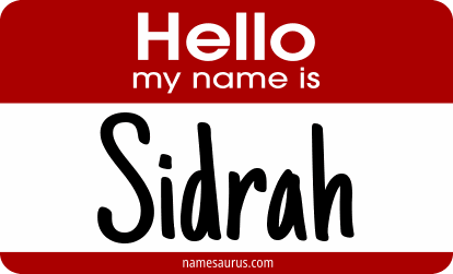 Hello my name is Sidrah png download