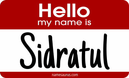 Hello my name is Sidratul png download