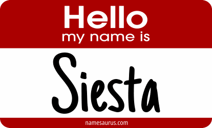 Hello my name is Siesta png download