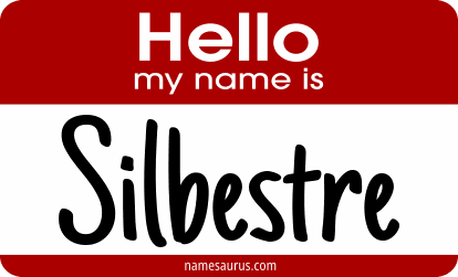 Hello my name is Silbestre png download