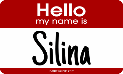 Hello my name is Silina png download