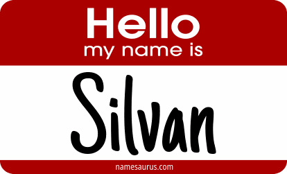 Hello my name is Silvan png download