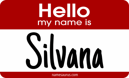 Hello my name is Silvana png download
