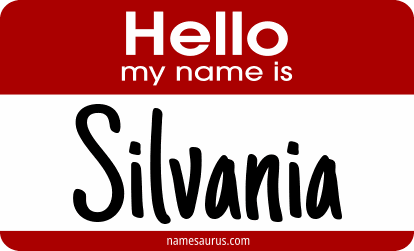 Hello my name is Silvania png download
