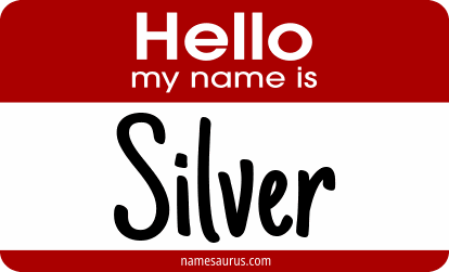 Hello my name is Silver png download