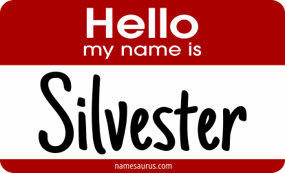 Hello my name is Silvester png download