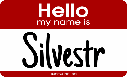 Hello my name is Silvestr png download