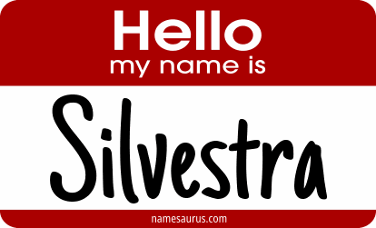 Hello my name is Silvestra png download