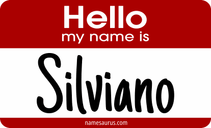 Hello my name is Silviano png download