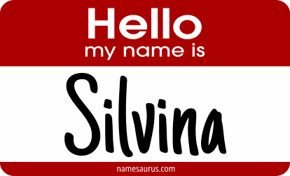 Hello my name is Silvina png download