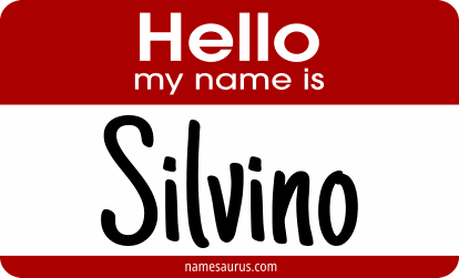 Hello my name is Silvino png download