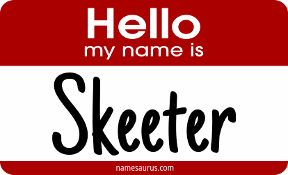 Hello my name is Skeeter png download