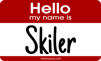 Hello my name is Skiler png download