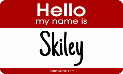 Hello my name is Skiley png download