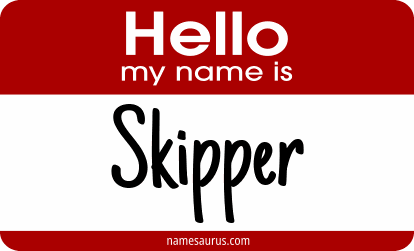 Hello my name is Skipper png download