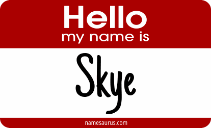 Hello my name is Skye png download
