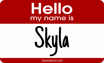Hello my name is Skyla png download