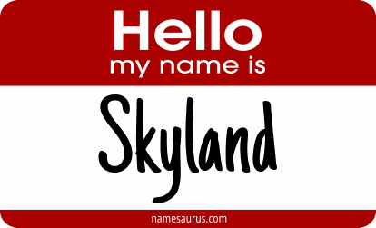 Hello my name is Skyland png download