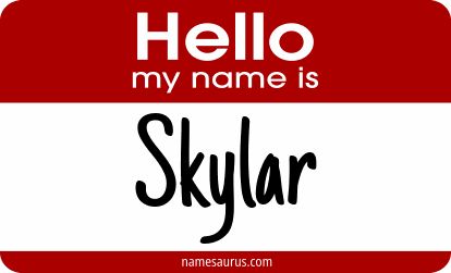 Hello my name is Skylar png download