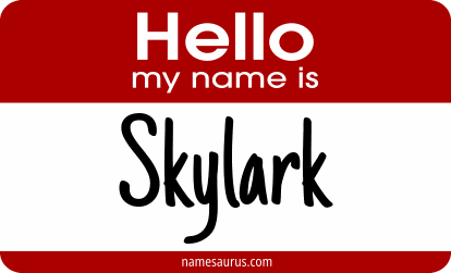 Hello my name is Skylark png download