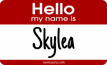 Hello my name is Skylea png download