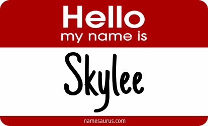 Hello my name is Skylee png download