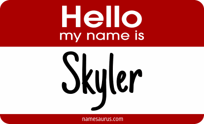 Hello my name is Skyler png download