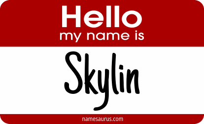 Hello my name is Skylin png download