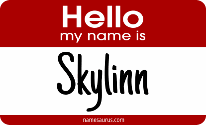 Hello my name is Skylinn png download