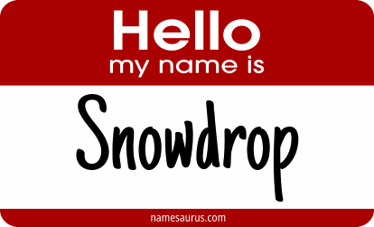 Hello my name is Snowdrop png download