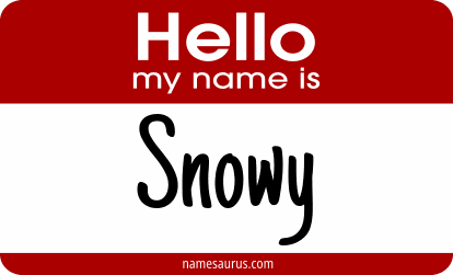 Hello my name is Snowy png download