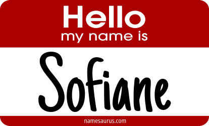 Hello my name is Sofiane png download