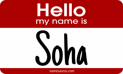 Hello my name is Soha png download