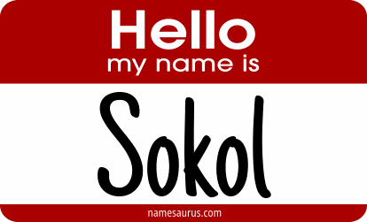 Hello my name is Sokol png download