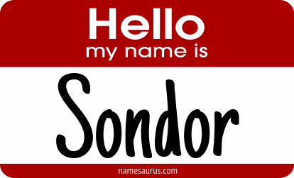 Hello my name is Sondor png download