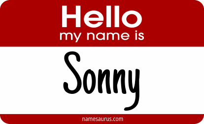 Hello my name is Sonny png download
