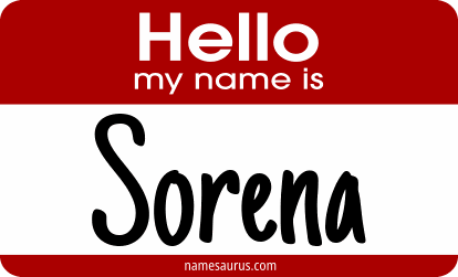 Hello my name is Sorena png download