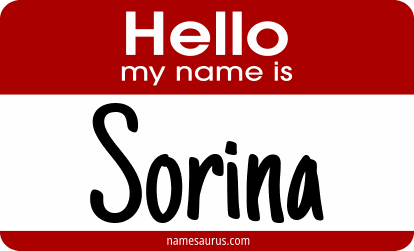 Hello my name is Sorina png download