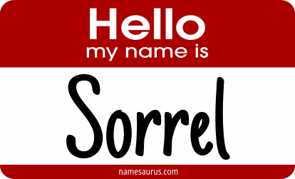 Hello my name is Sorrel png download
