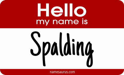 Hello my name is Spalding png download