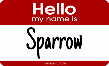 Hello my name is Sparrow png download