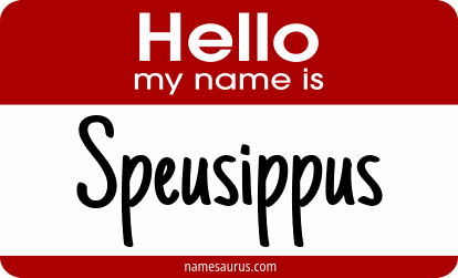 Hello my name is Speusippus png download