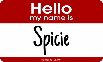 Hello my name is Spicie png download