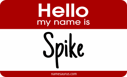 Hello my name is Spike png download