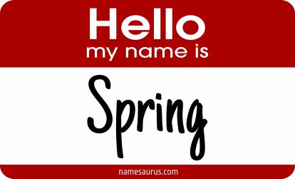 Hello my name is Spring png download