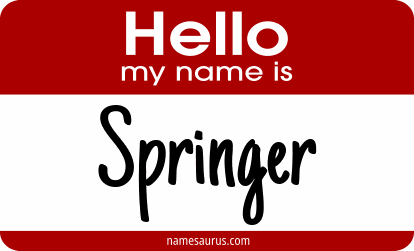 Hello my name is Springer png download