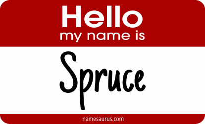Hello my name is Spruce png download