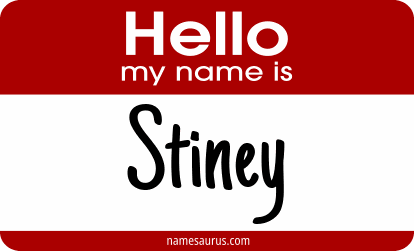 Hello my name is Stiney png download