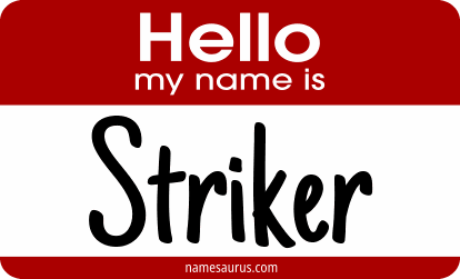 Hello my name is Striker png download